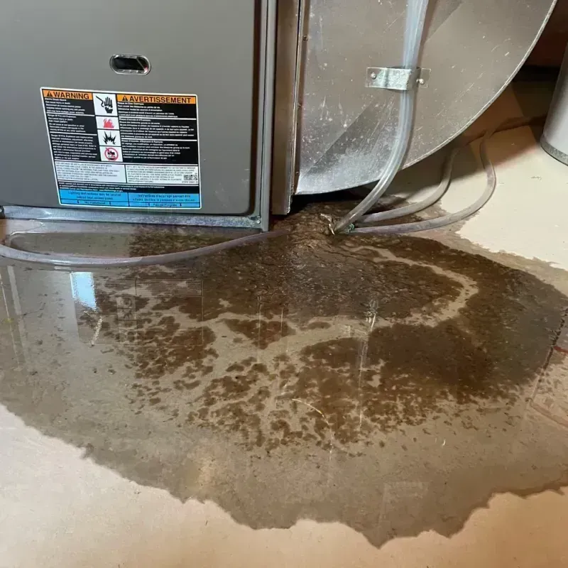 Appliance Leak Cleanup in Holiday Shores, IL